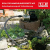 Gartenpumpe im Einsatz